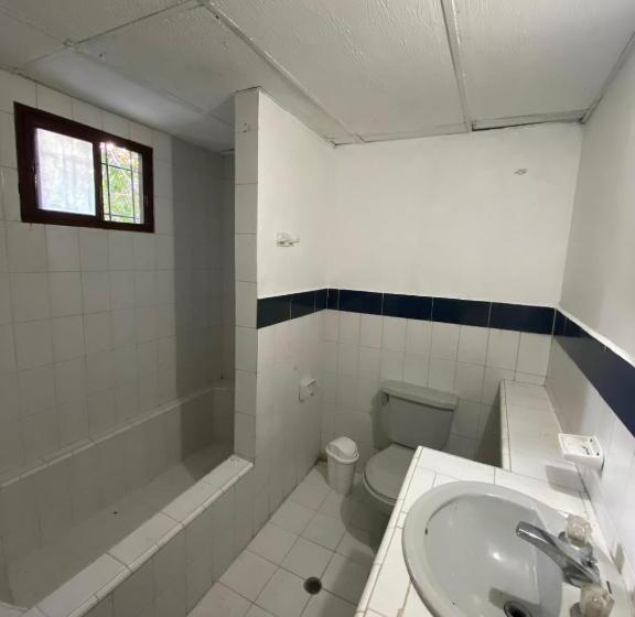 پانسیون Vegan