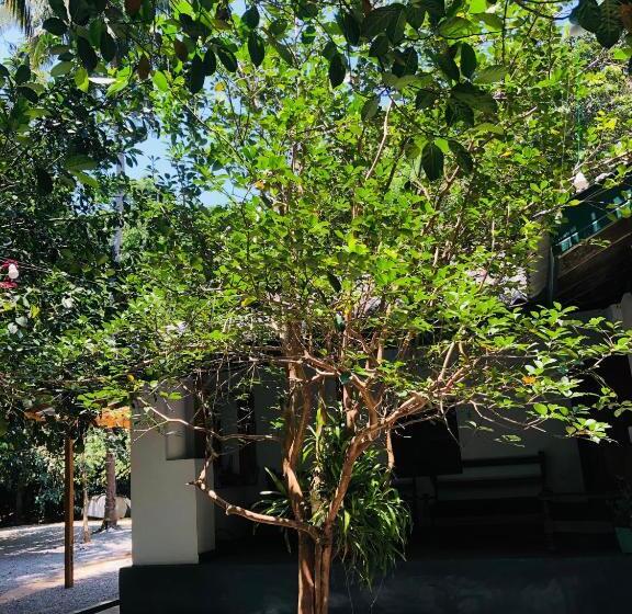 مبيت وإفطار Bambo Cabana