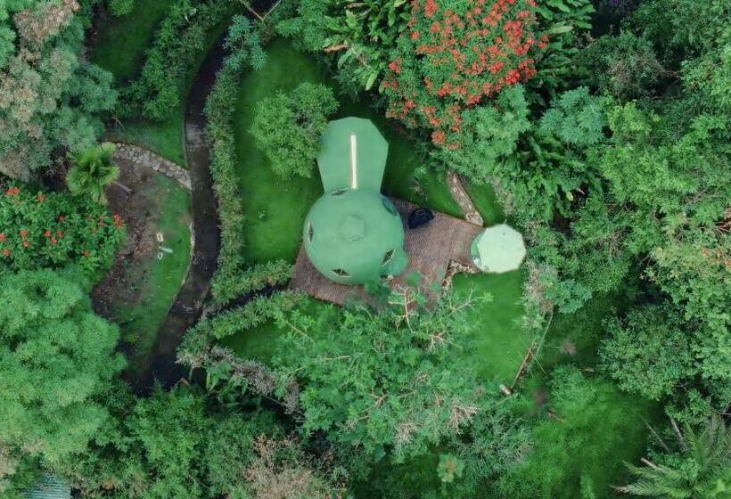 בית מלון כפרי Boscaje Solarpunk Habitat