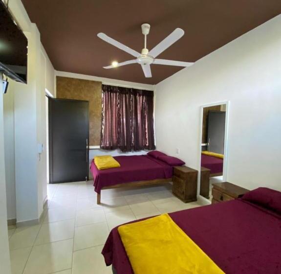 فندق Cabañas El Sabinito