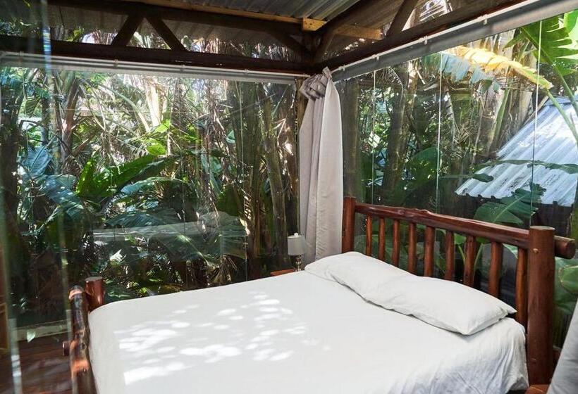 旅馆 Mantis And Moon Surf Paradise & Adventure Lodge