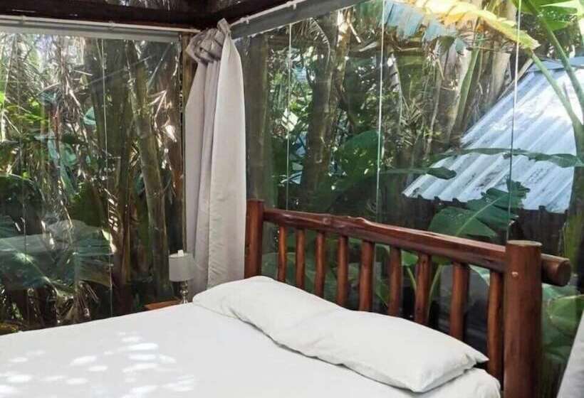 旅馆 Mantis And Moon Surf Paradise & Adventure Lodge