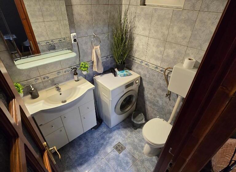 پانسیون La Dragoș Studio 01   Apartament
