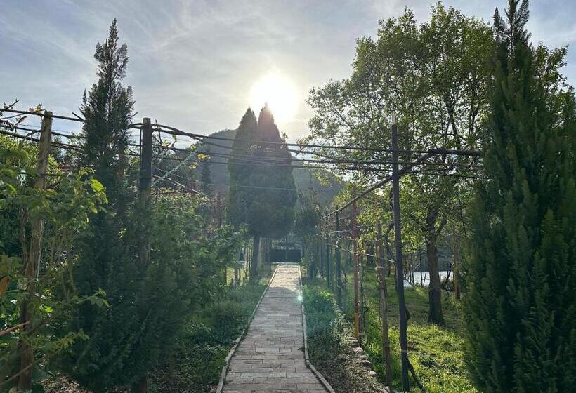 پانسیون Lakeview Escape Koman