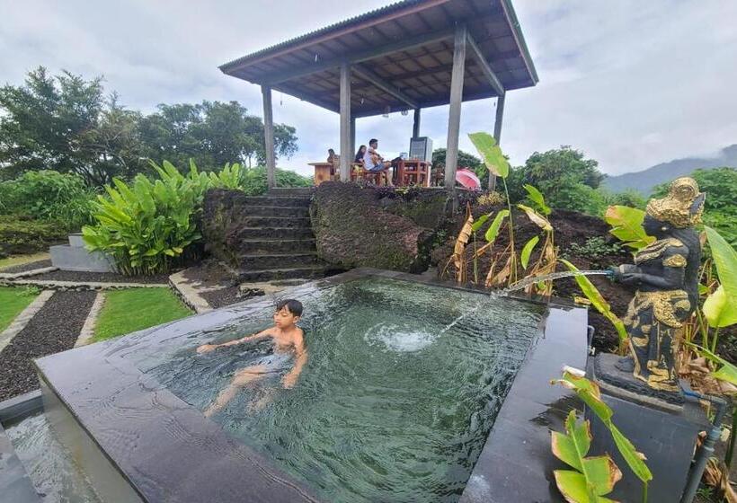 膳宿费 Onion Garden And Natural Hotspring