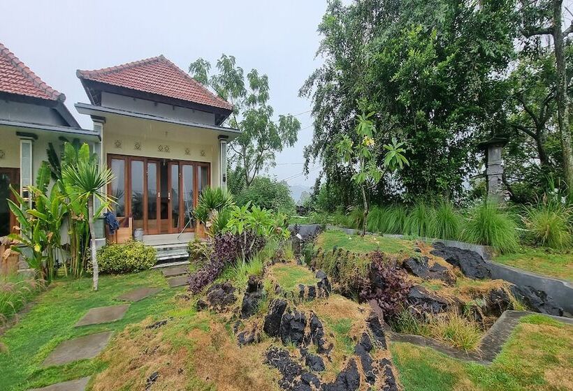 膳宿费 Onion Garden And Natural Hotspring