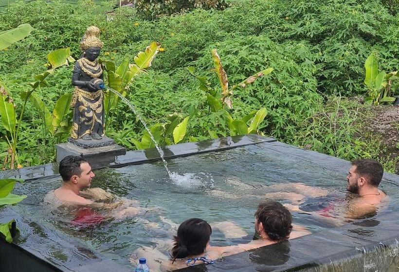 膳宿费 Onion Garden And Natural Hotspring