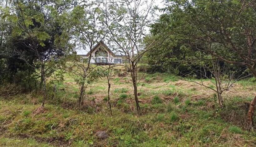 住宿加早餐  Villa Simone French Ecolodge