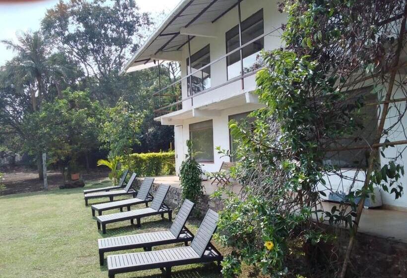 בית מלון כפרי Oassis Conexion Sin Fronteras