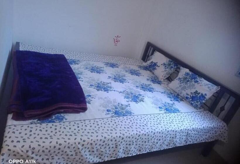Пансион Shruti Guest House