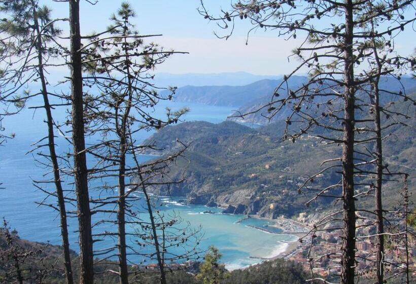 مبيت وإفطار Green Quiet Affittacamere