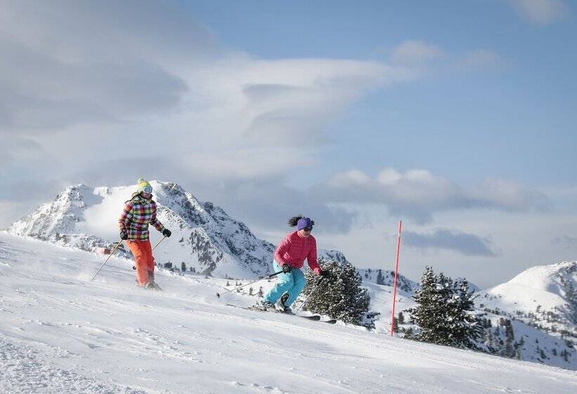 فندق Erica