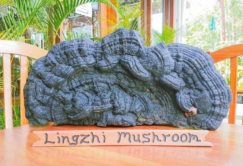 The Sanctuary Hotel Resort Spa