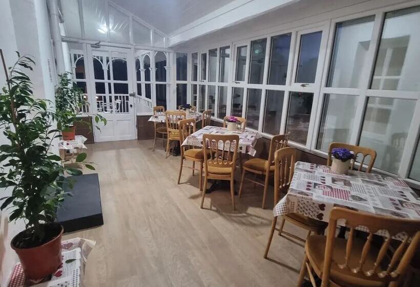 פנסיון The Monkey Puzzle