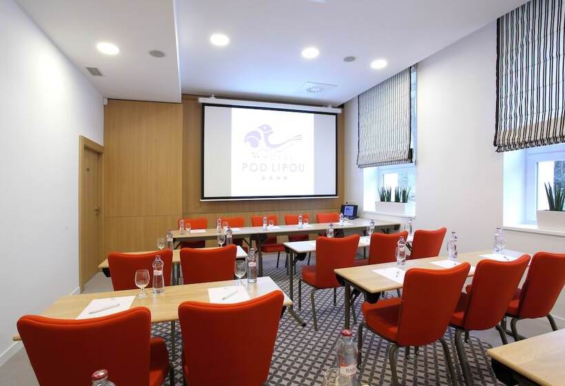 호텔 Pod Lipou Resort