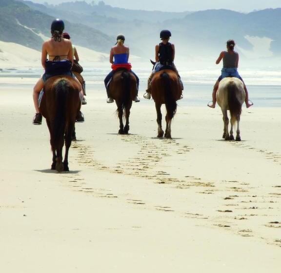 فندق صغير Buccaneers Beach Lodge, Chintsa, South Africa