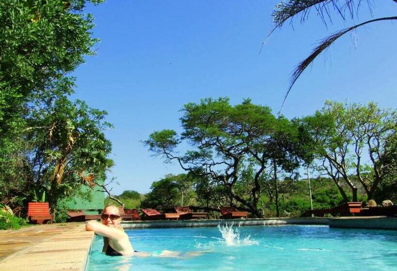 فندق صغير Buccaneers Beach Lodge, Chintsa, South Africa