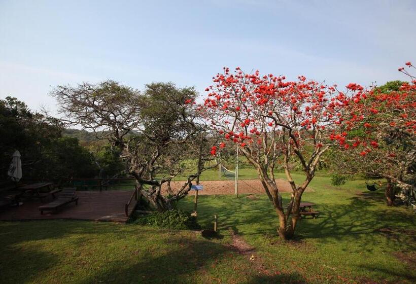 فندق صغير Buccaneers Beach Lodge, Chintsa, South Africa