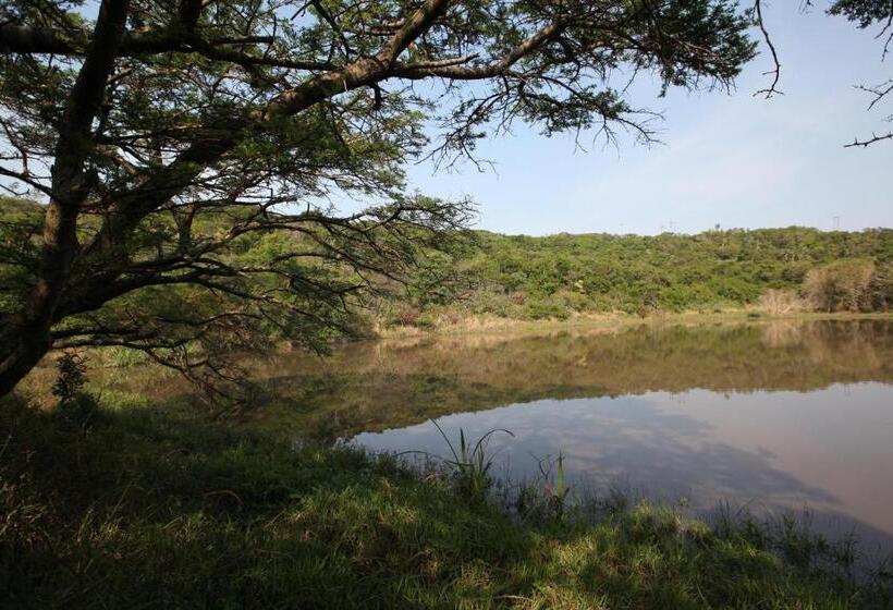 فندق صغير Buccaneers Beach Lodge, Chintsa, South Africa