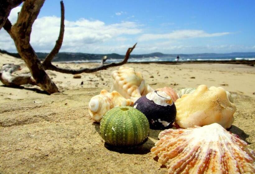 فندق صغير Buccaneers Beach Lodge, Chintsa, South Africa
