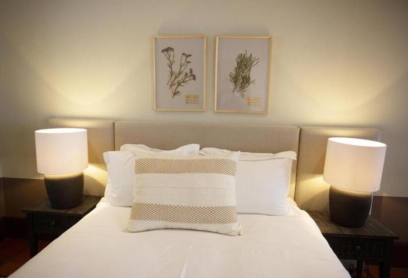 مبيت وإفطار Beckhuis