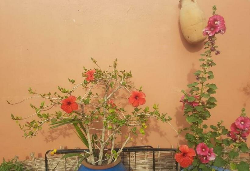 تختخواب و صبحانه Chambres D Hôtes Les Amis