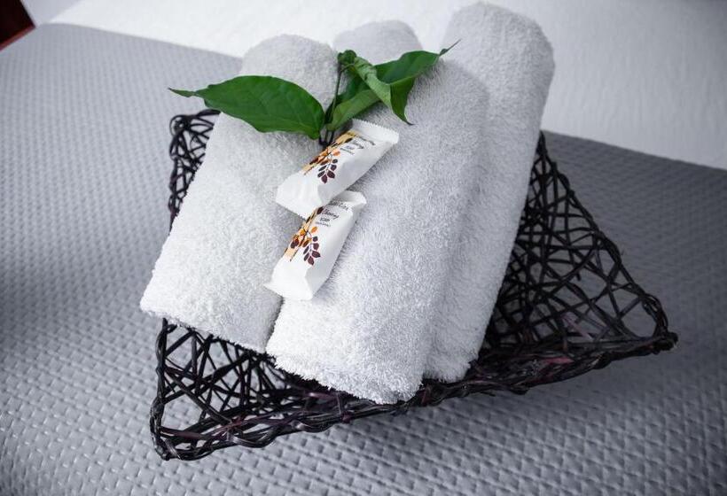 Bothabelo Bed And Breakfast