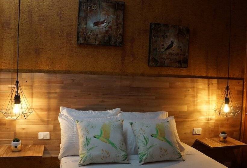 هتل El Jardin De La 10   Hostel