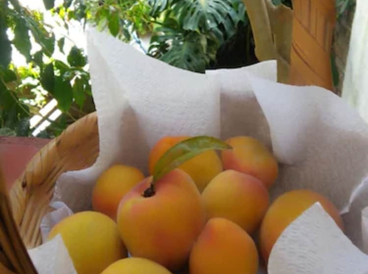 فندق La Casona Breakfast & Wellness Center