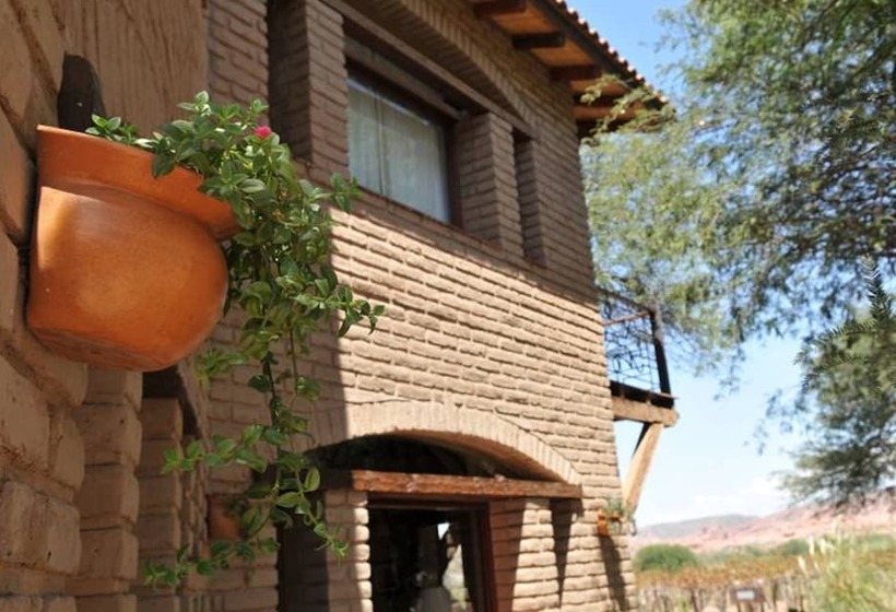 هتل La Casa De La Bodega - Wine Boutique