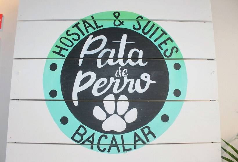هاستل Hostal & Suites Pata De Perro