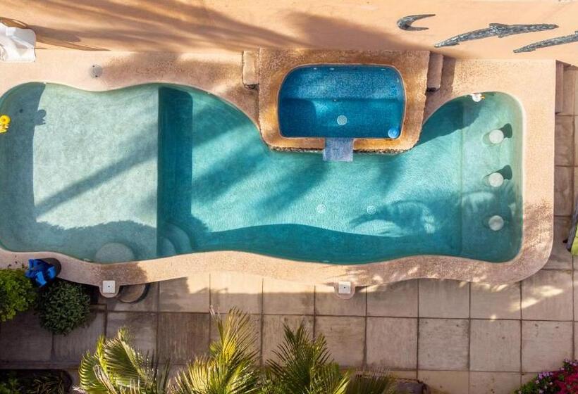 تختخواب و صبحانه Casa Kootenay Waterfront Bnb