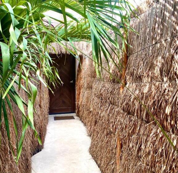 مبيت وإفطار Pacha Tulum