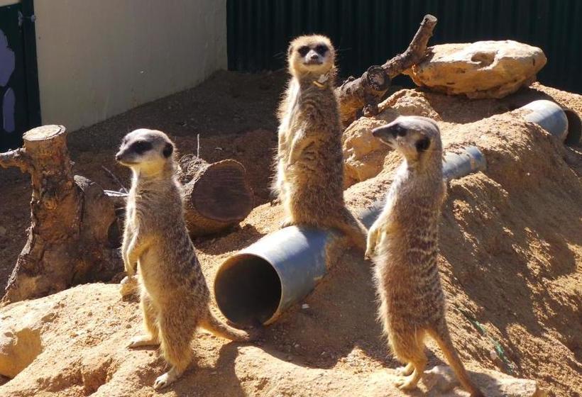 ホテル Centre Algarve