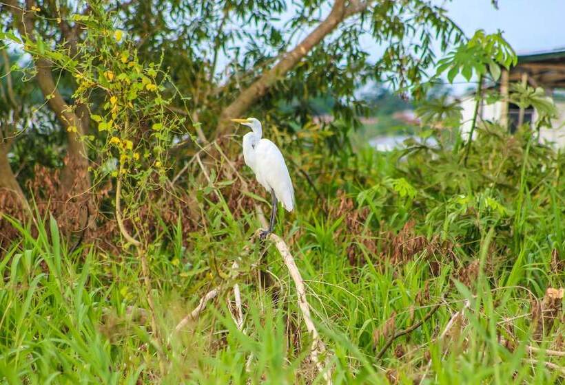 هتل On Vacation Amazon