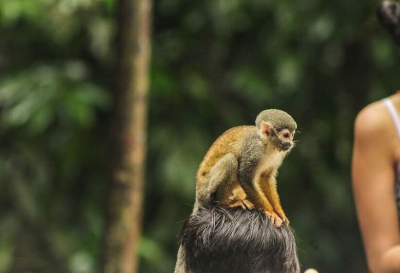 هتل On Vacation Amazon