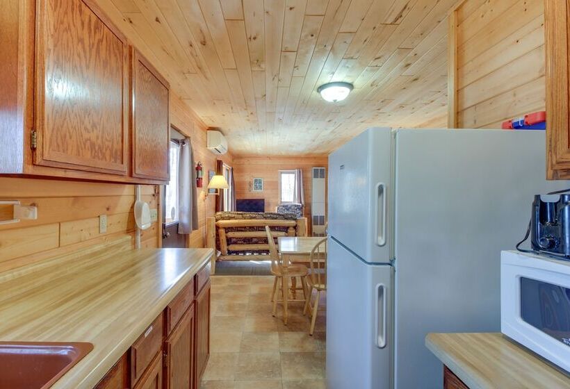 Dog Friendly Park Rapids Retreat W/ Boat Dock!