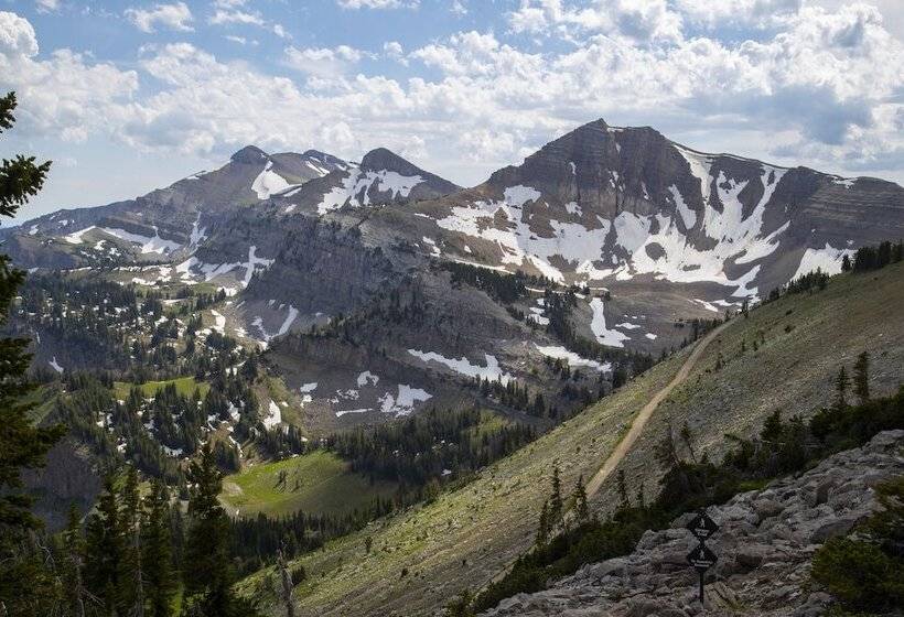Teton Melody