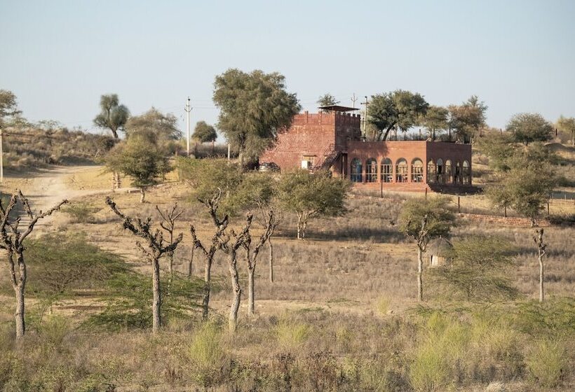 Kaner Retreat - India's First Desert Botanical Resort