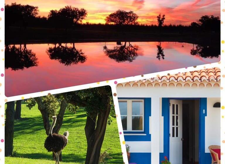 بنسيون Monte Do Lago, Pegões