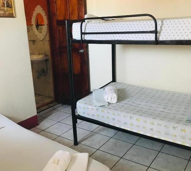 هاستل Hostal Brisas Y Olas