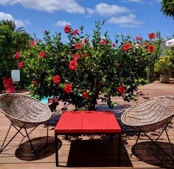 تختخواب و صبحانه Brisas De La Pedrera Hotel Boutique