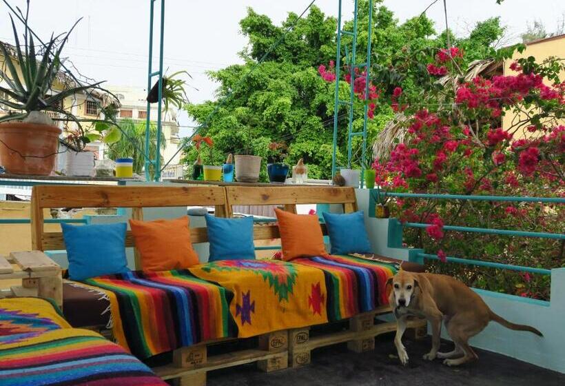 تختخواب و صبحانه Eco Hotel Club Rolling Stone
