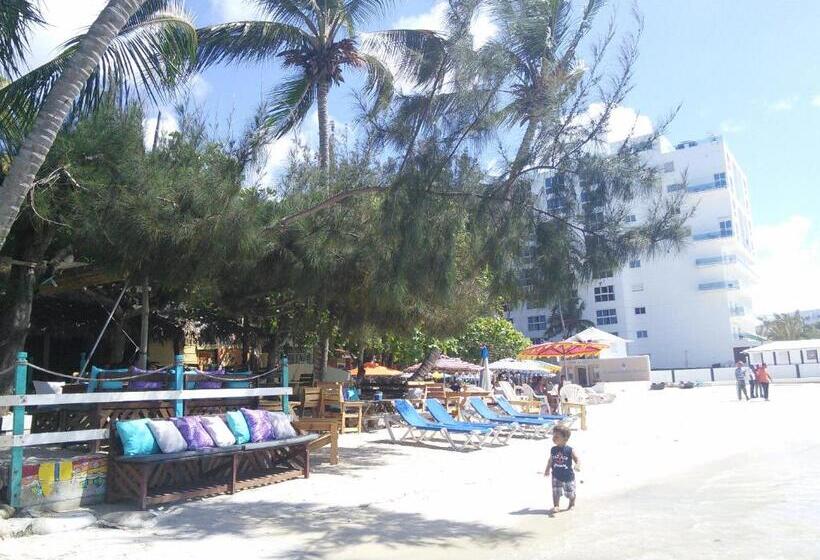 تختخواب و صبحانه Eco Hotel Club Rolling Stone