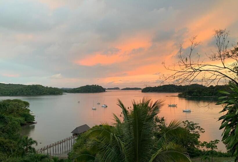 مبيت وإفطار Seagull Cove Resort