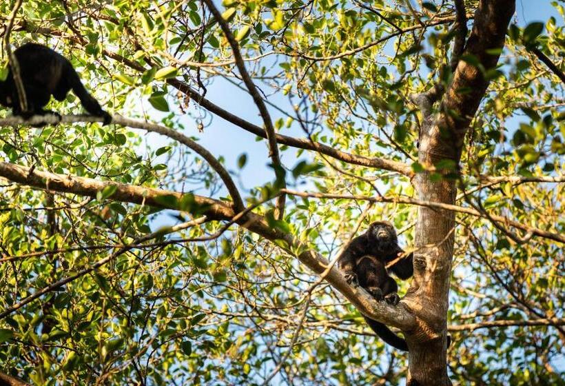 مبيت وإفطار Seagull Cove Resort