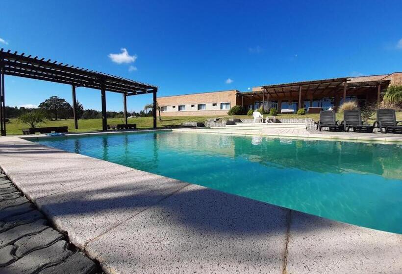 هتل Juana De Ibarbourou