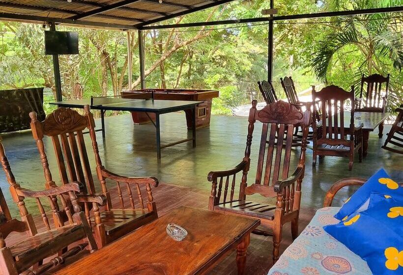 Casa Pura Vida Surf Hostel