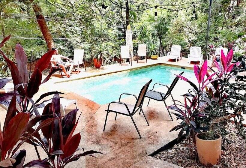 Casa Pura Vida Surf Hostel