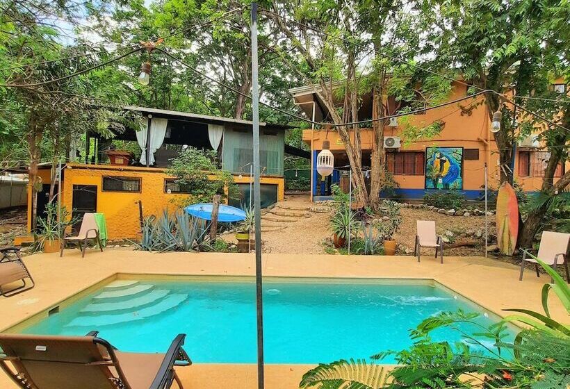 Casa Pura Vida Surf Hostel